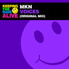 Voices (Original Mix) - MKN