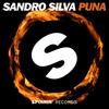 Puna (Original Mix Edit) - Sandro Silva