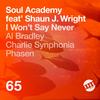 I Won't Say Never (Charlie Synphonia Remix) - Soul Academy&Shaun J. Wright&Charlie Synphonia