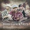 Bridges & Palm Trees - Lil Sam&Baby Bash&Lil Coner