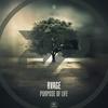 Purpose Of Life - RVAGE