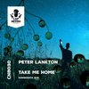 Take me Home (RawBoosta dub) - Peter Lankton&RawBoosta