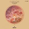 What Ever U Want (Frink Remix) - Dubphone