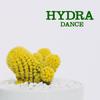 Dance - Hydra