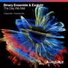 The Day We Met (Original Mix) - Binary Ensemble&Exolight