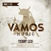 Rewind My Selecta (Dub Mix) - Terry Lex