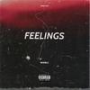 Feelings - Skaiblu