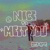 Nice 2 Meet You - Zhr