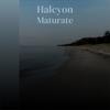 Halcyon Maturate - Orrett Coos