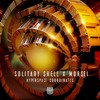 Hyperspace Coordinates (Original Mix) - Solitary Shell&MoRsei