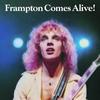 Show Me The Way - Peter Frampton