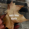 Angel From Heaven - Don Aravind