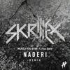 Would You Ever (Naderi Remix) - Naderi&Skrillex&Poo Bear