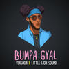 Big Bumper Gyal - Vershon&Little Lion Sound