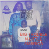 Big Trouble-N-Little America(Freestyle) (Explicit) - Esau