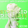 What Ya Chasin'? (Explicit) - Stressed Desserts&Summer C