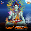 Nagendra Haaraya - Veena&Thej