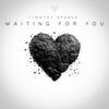 Waiting for You (DJ Lignin Remix) - Timothy Sparks&DJ Lignin