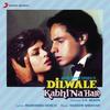 Dilwale Kabhi Na Hare - Nadeem Shravan&Kumar Sanu&Shabbir Kumar