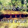 Child Of Orishas (Original Mix) - Fading Soul