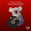 Fragmented (Original Mix) - Forest Weed