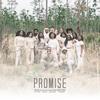 Promise - Wes Harris