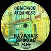 Havana's Groove (Original Edit) - Domenico Albanese