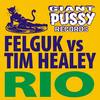 Rio (Original Mix) - Felguk&Tim Healey