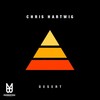 Push It (Original Mix) - Chris Hartwig