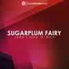 Sugarplum Fairy (feat. High 'n' Rich) - Juwa&High 'n' Rich&Julian Wallner&Andreas Bugl