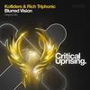 Blurred Vision (Original Mix) - Kolliders&Rich Triphonic