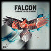 Falcon - Zombie Cats&Heist