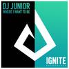 Where I Want To Be - DJ Junior (TW)