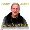 Im Tal der Gefühle (Solo 2014) - Pierré André