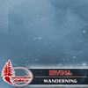 Wanderning (Original Mix) - Irvina