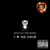 I'm So Cold (feat. Ethan Spalding) (Explicit) - Dj LioNL&Ethan Spalding