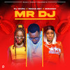 MR DJ - DJ Shiru&Recho Rey&Miranda Vasha