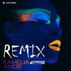 Amor (Studio 66 Remix) - Kamelia