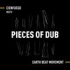 Pieces of Dub - Cienfuego&Earth Beat Movement