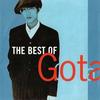 If I Could (Radio Single Remix) - Gota