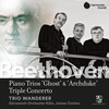 Triple Concerto, Op. 56: II. Largo - Trio Wanderer&Gürzenich-Orchester Köln&James Conlon