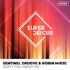 Don't You Want Me (Original Mix) - Sentinel Groove&Robin Moog