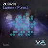 Forest - Zurrue