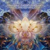 Metamorphosis - Jabba