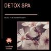 Therapeutic Spa Music (Original Mix) - Manah Banerjee