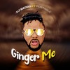 Ginger - DJ Baddo&Portable