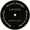 The Way You Want - Sjamsoedin