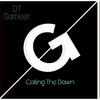 Calling the Dawn (Original Mix) - DT&Sameer