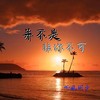 并不是非你不可 - 听風词少
