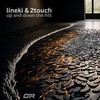 Young and in Love (Remix) - Lineki&2Touch